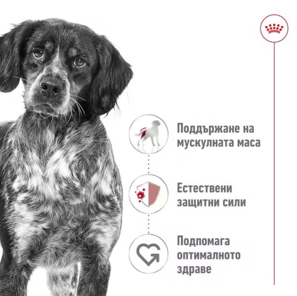 Royal Canin Medium Adult Dog Loaf Can - Консерва за кучета от средни породи в зряла възраст 410 гр